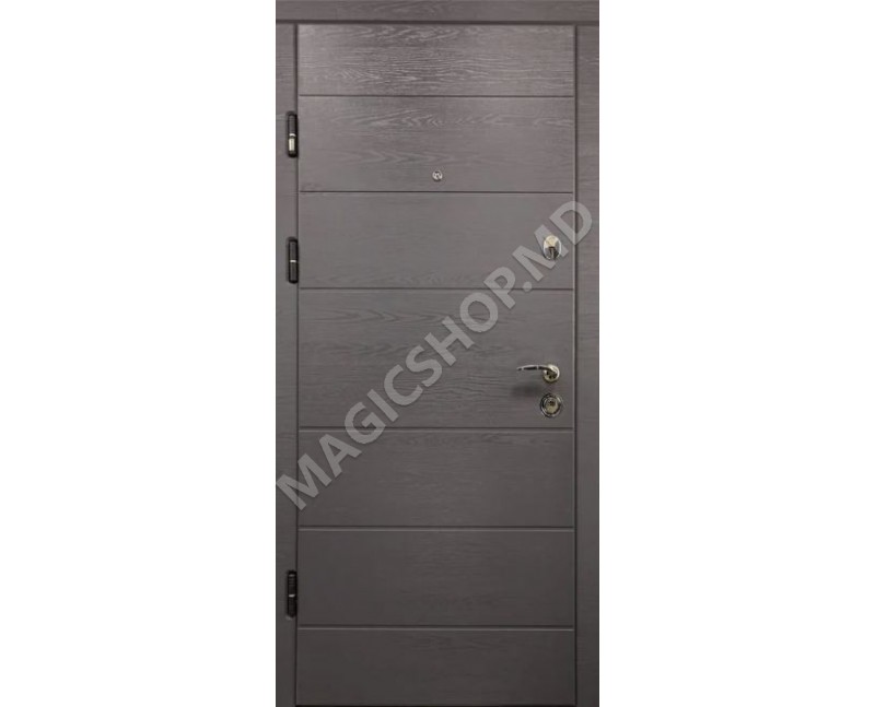 Наружная дверь DIPLOMAT 300 (2050x960x70mm)